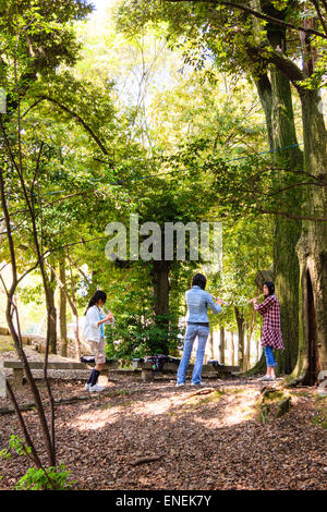 Drei japanische Teenager-Frauen, die in einem Halbkreis an einer Bank in einer Lichtung in einigen sonnenbeschienenen Bäumen stehen und Flöten spielen. Frauen sind lässig gekleidet. Stockfoto