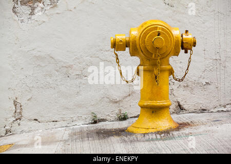 Gelbe Hydranten vor einer weißen Wand Stockfoto