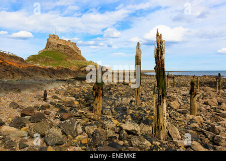 Lindisfarne Schloß, Holy Island, Northumberland, England, Vereinigtes Königreich Stockfoto