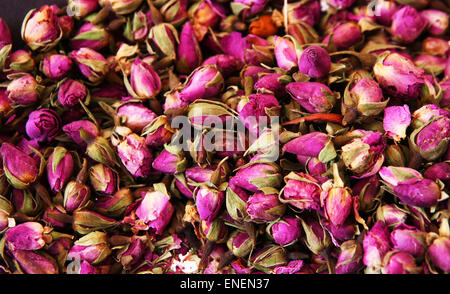 Rosen für Tee Stockfoto