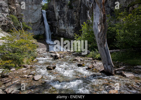 Chorrillo del Salto Wasserfall. El Chaltén. Patagonien. Argentinien Stockfoto