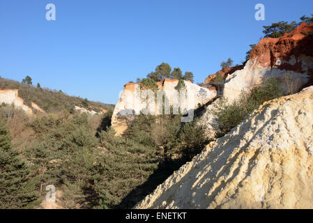 Ockerfarbenen Felsen am Colorado-de-Provence Rustrel Luberon Provence Frankreich Stockfoto