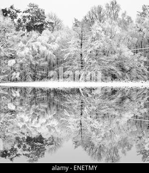 Schöne Landschaft der glitzernden Frost und Schnee bedeckt Bäume im gefrorenen See widerspiegelt Stockfoto