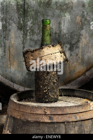 Old Grunge staubigen Wein Flasche und Etikett stehend auf einem Holzfass in einem Keller oder Weingut in einem Weinbau-Konzept Stockfoto