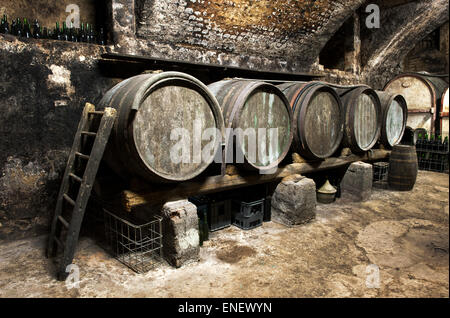 Innenraum von einem alten Weinkeller in einem Weingut mit einer Reihe von Eiche Holzfass Stockfoto