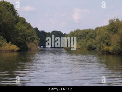 Themse Reading Berkshire England UK Stockfoto