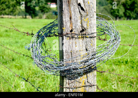 Stacheldraht umwickelt Post im Feld, Frankreich Stockfoto