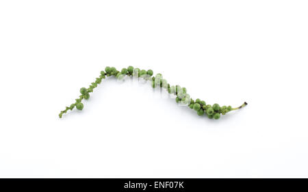 Grüne Pfefferkörner isoliert auf weißem Hintergrund Stockfoto