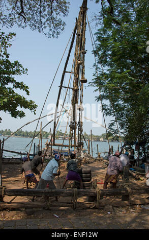 Eine sechsköpfige Besatzung, die eines der chinesischen Fischernetze in Fort Cochin in Kochi, Kerala, Indien, betreibt. Stockfoto