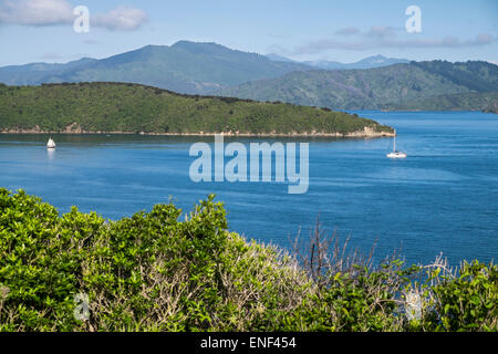 Karaka Point Lookout auf Marlborough Sound, New Zealand. Stockfoto