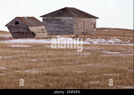 Prärie-Landschaft im Winter Saskatchewan Kanada scenic Stockfoto