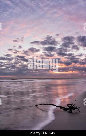 Sonnenuntergang, Wolken und Niederlassungen in Folly Beach, SC, USA Stockfoto