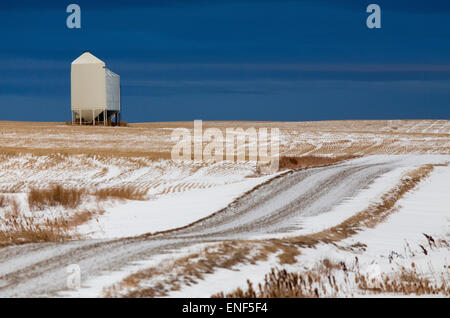 Prärie-Landschaft im Winter Saskatchewan Kanada scenic Stockfoto