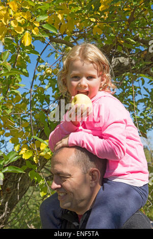 Mann mit kleinen Mädchen sitzen auf seinen Schultern einen Apfel essen, in einem amerikanischen Obstgarten Stockfoto