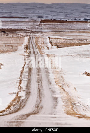 Prärie-Landschaft im Winter Saskatchewan Kanada scenic Stockfoto