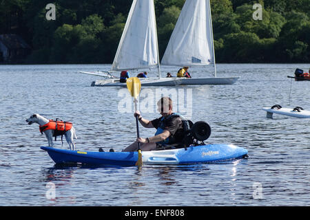 Am Derwent Water, Lake District - kleiner Hund auf Kayak Kajak Stockfoto