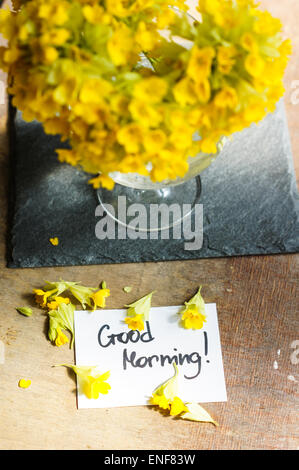 Ersten Frühling Blumen auf dem Tisch mit guten Morgen Hinweis Stockfoto