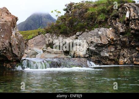 Fee-Pools Stockfoto