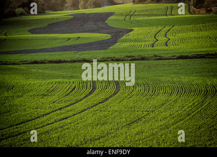 Wiltshire ist eine Zählung im Westen von England und die antiken Monumente von Stonehenge und Avebury Boote. Stockfoto