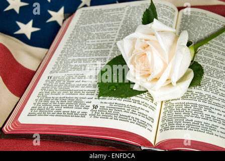 Weisse rose auf offene Bibel auf eine amerikanische Flagge. Stockfoto