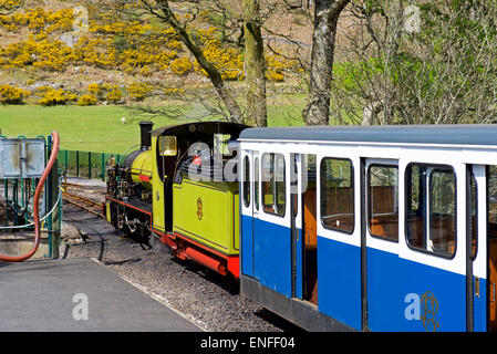 Zug an der Dalegarth Station, auf schmalen-Guage Ravenglass & Eskdale Railway, Eskdale, Nationalpark Lake District, Cumbria, England Stockfoto
