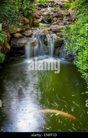 Kleiner Wasserfall in den japanischen botanischen Gärten in Fort Worth, Texas. Stockfoto