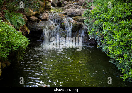 Kleiner Wasserfall in den japanischen botanischen Gärten in Fort Worth, Texas. Stockfoto