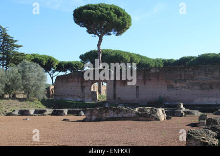 Italien. Rom. Kaiserpalast. Palatin-Hügel. Die Ruinen. 1.. Ad. Stockfoto