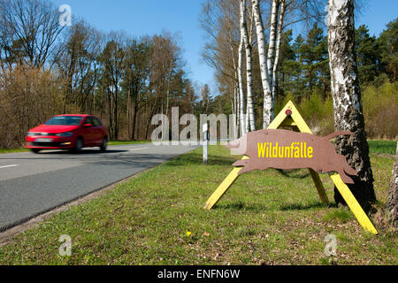 Melden Sie sich mit dem deutschen Wort "Wildunfälle" mit einem vorbeifahrenden Auto, Gefahr der Tierwelt Unfälle, Niedersachsen, Deutschland Stockfoto