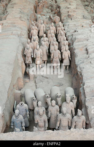 Erste Grube stehend Krieger Figuren, Pferde, Kaiser Qin Shi Huang Mausoleum, Terrakotta-Armee, Xi &#39; ein Stockfoto