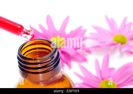 ein Dropper und eine Flasche und einige rosa Chrysanthemen auf weißem Hintergrund Stockfoto