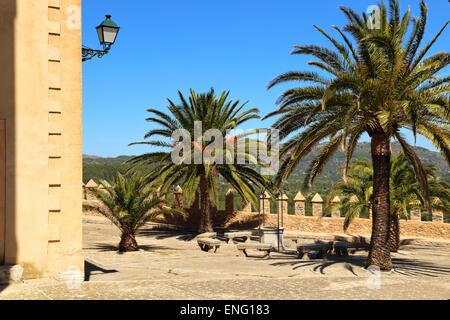 Palmen an der Wallfahrt von Sant Salvador in Artà, Mallorca, Spanien Stockfoto