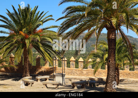 Palmen an der Wallfahrt von Sant Salvador in Artà, Mallorca, Spanien Stockfoto