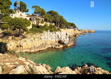 Felsige Küste rund um Platja Cala Gat, Cala Rajada, Mallorca Stockfoto