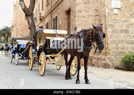 Pferdewagen vor der Kathedrale La Seu, Palma De Mallorca Stockfoto