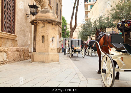 Pferdewagen vor der Kathedrale La Seu, Palma De Mallorca Stockfoto