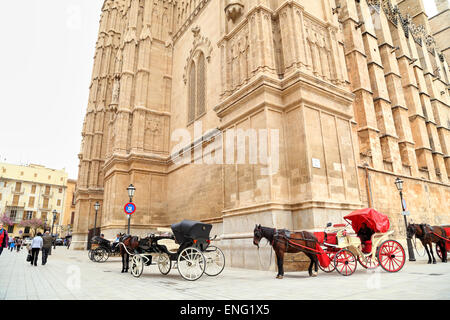 Pferdewagen vor der Kathedrale La Seu, Palma De Mallorca Stockfoto