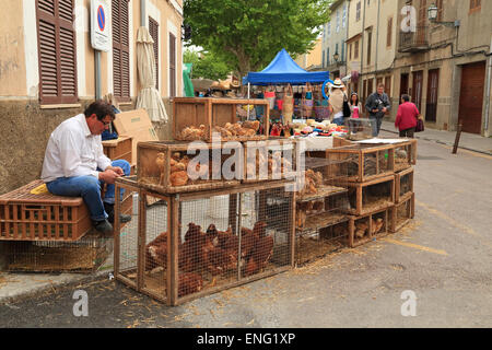 Mann, Verkauf von lebenden Hühnern auf einem Straßenmarkt in Artà, Mallorca Stockfoto