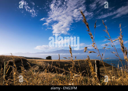 Kaikoura Halbinsel in Südinsel, Neuseeland. Stockfoto