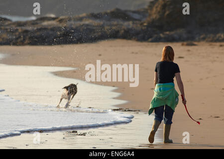 Eine Frau, die ihren Hund am Strand von Constantine Bay, in der Nähe von Padstow, in Cornwall, Großbritannien, spazierengeht. Stockfoto
