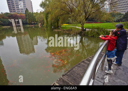 Fütterung der Koi Karpfen in Guangchang Park, in der Nähe von Xintiandi, Shanghai, China. Stockfoto