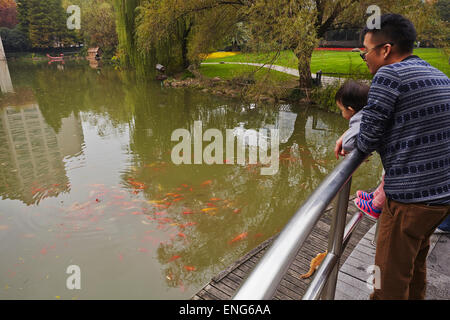 Ein Vater und Baby Fütterung der Koi Karpfen in Guangchang Park in der Nähe von Xintiandi, Shanghai, China. Stockfoto