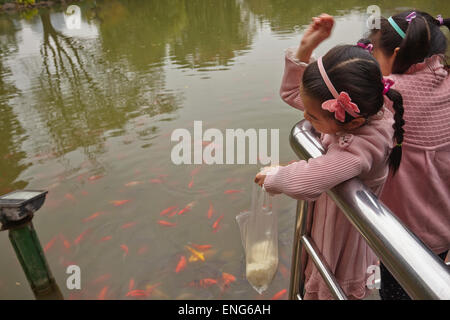 Junge Mädchen füttern den Koi-Karpfen im Guangchang Park, in der Nähe von Xintiandi, in Shanghai, China. Stockfoto