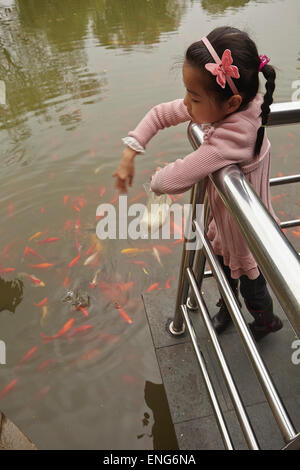 Junge Mädchen füttern den Koi-Karpfen im Guangchang Park, in der Nähe von Xintiandi, in Shanghai, China. Stockfoto