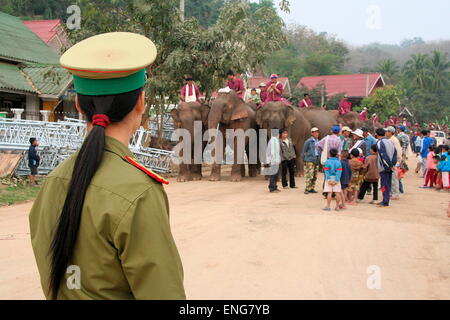 Lao Elephant Festival Sanyabouri Stockfoto