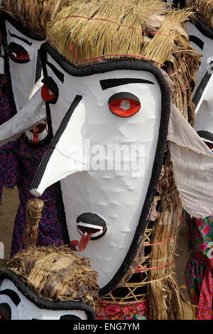 Lao Elephant Festival Sanyabouri Stockfoto