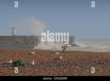 Newhaven, East Sussex, Großbritannien. Mai 2015. Wetter: Einige Szenen von der Südküste, während der Wind an einem hellen Frühlingnachmittag zunimmt Stockfoto