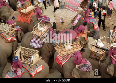 Lao Elephant Festival Sanyabouri Stockfoto