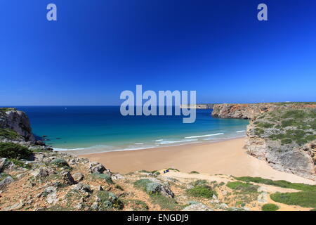 Mit Blick auf den Strand von Praia Do Beliche in Sagres an der Algarve, Portugal. Stockfoto