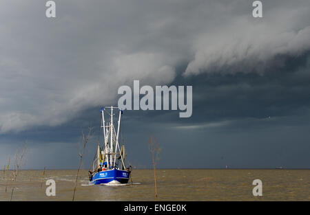 Wremen, Deutschland. 5. Mai 2015. Ein Garnelen-Boot zurück zum Siel Hafen in Wremen, Deutschland, 5. Mai 2015. Eine schwerer Sturm-Front brachte Donner, Blitze und Regen am Nachmittag. Foto: INGO WAGNER/Dpa/Alamy Live News Stockfoto